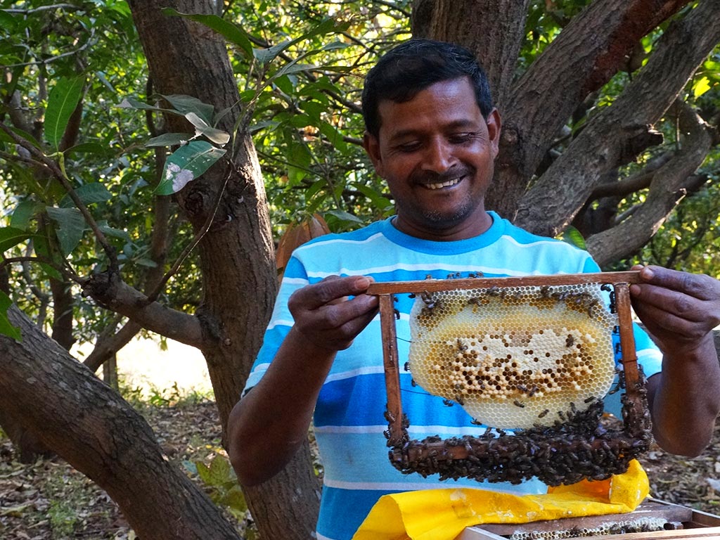 Area Of Operation - Gujarat