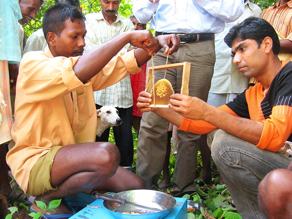 Area Of Operation - Madhya Pradesh
